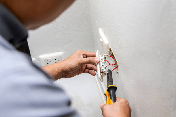 Best Ceiling Fan Installation Electrician  in Dewitt, IA